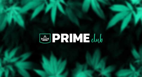 cannabis social club kassel|Cannabis Social Club Kassel